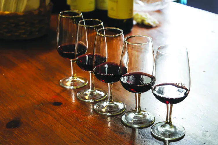 Tasting the world